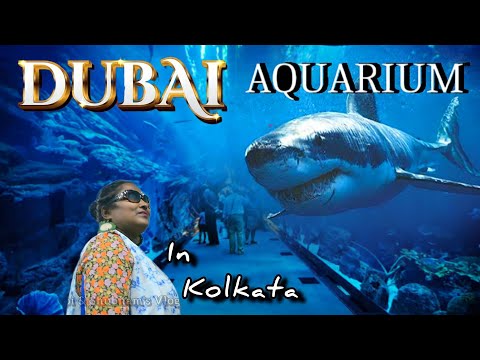 Underwater Aquarium in Kolkata | মাত্র 100 টাকায় Dubai Aquarium | Ep-2 | 2023-24 #aquarium