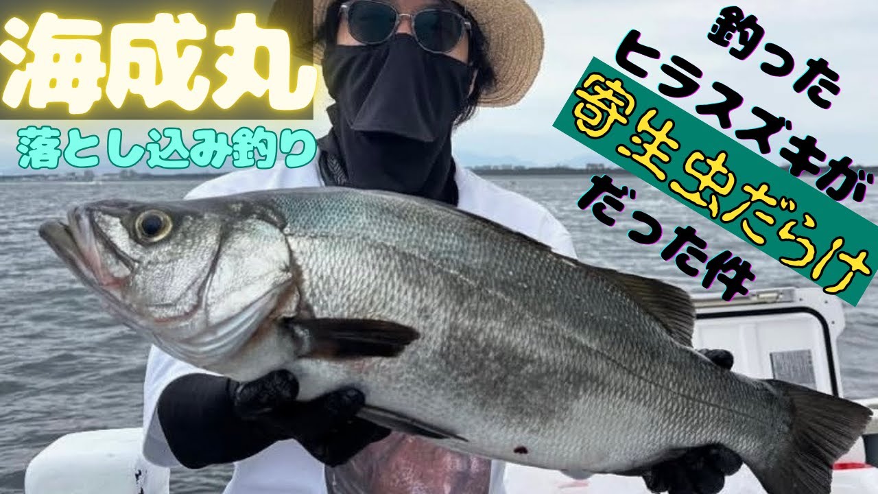 【落とし込み釣り】相模湾最盛期!!脂ノリ抜群の高級魚に潜む意外な落とし穴…