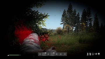 ALWAYS Expect The Unexpected - DayZ