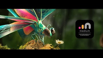 Intro to Adobe Medium | #vr