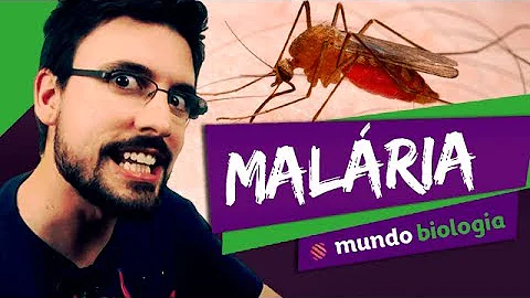 Qual é o mosquito que transmite a malária?