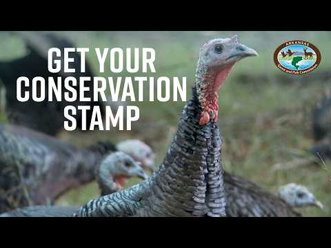 Put Your Stamp on Quail and Turkey Conservation