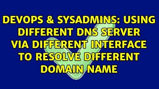 Using different DNS server via different interface to resolve different domain name