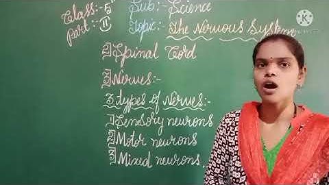 5th standard Science 1st Semester 3rd Chapter, Part -2, 2021 -22