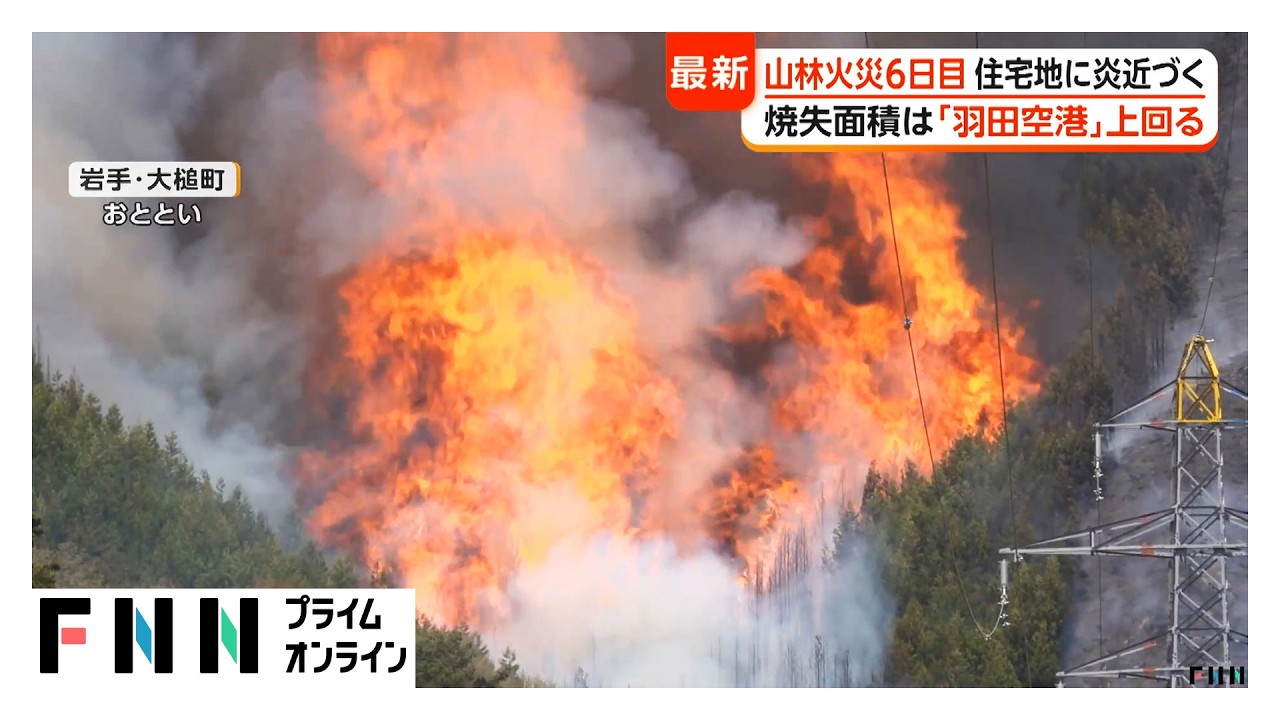 岩手 山 火事