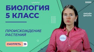 Происхождение растений. Видеоурок 33. Биология 5 класс