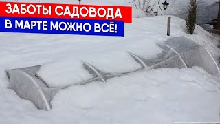 Заботы садовода - в марте можно всё!