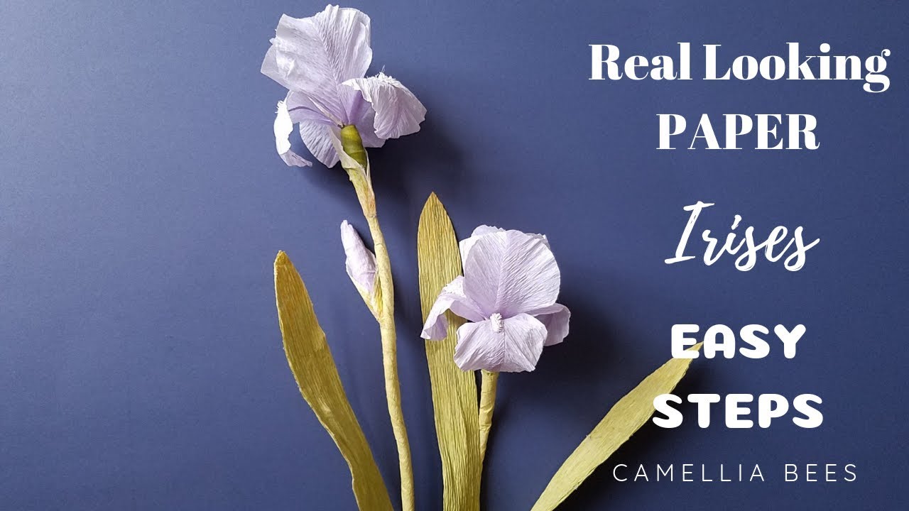 how to make paper iris flower from crepe paper easy and realistic paper iris flower