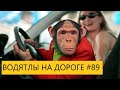 ВОДЯТЛЫ НА ДОРОГЕ ПОДБОРКА     #89