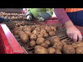 Potato farming and land management in Australia - "Hand in Hand: Garry's story"