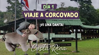 El mejor lugar para ver dantas y ¡muchos animales más! | VIAJE A CORCOVADO | DÍA 1