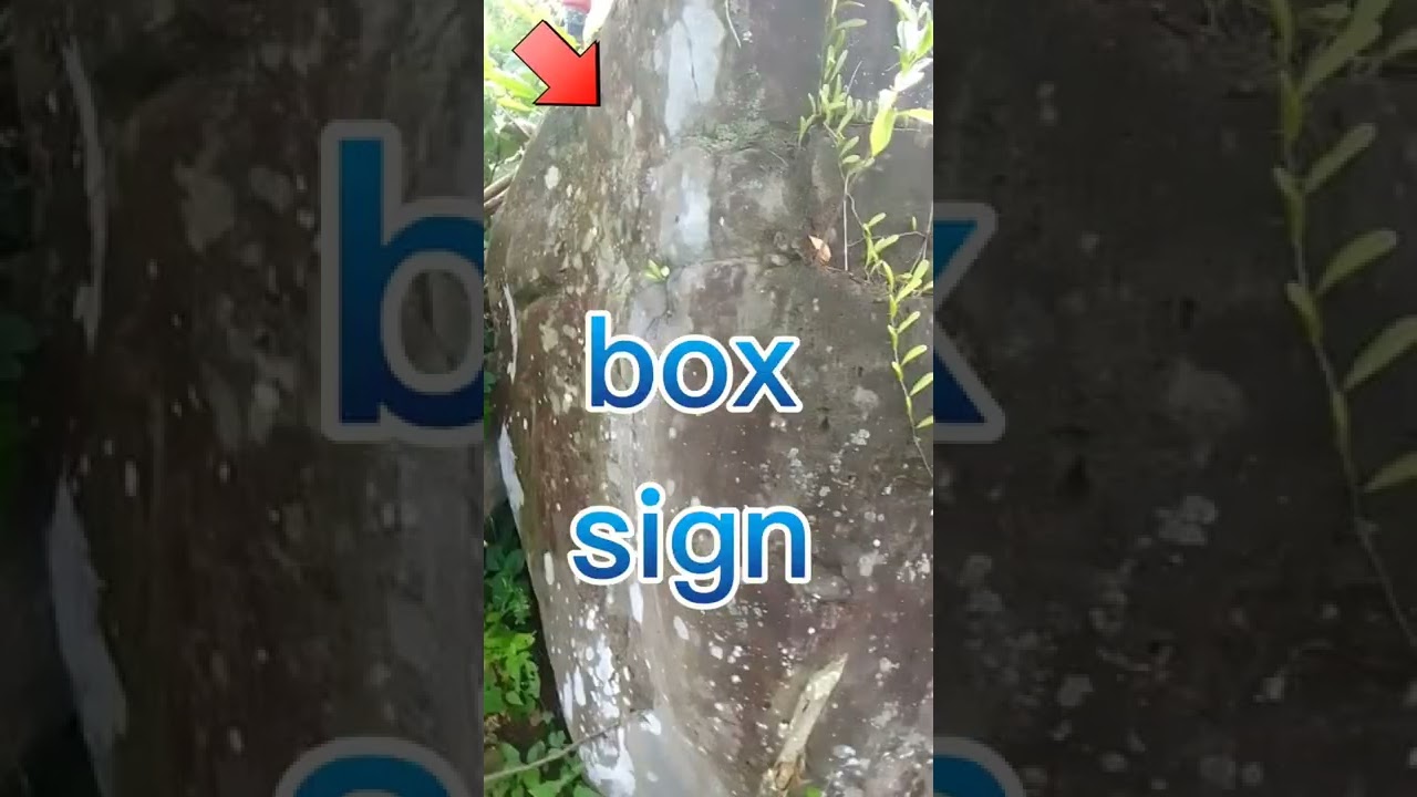 X marker boxes of gold bars paano hanapin (Ka treasure hunter)