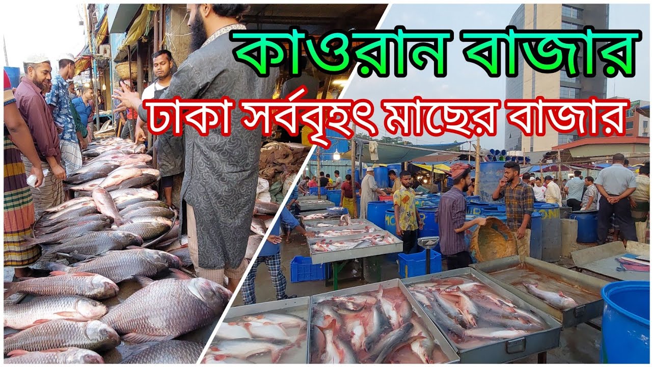 কাওরান বাজার মাছের আড়ৎ।Kawran Bazar Fish Market