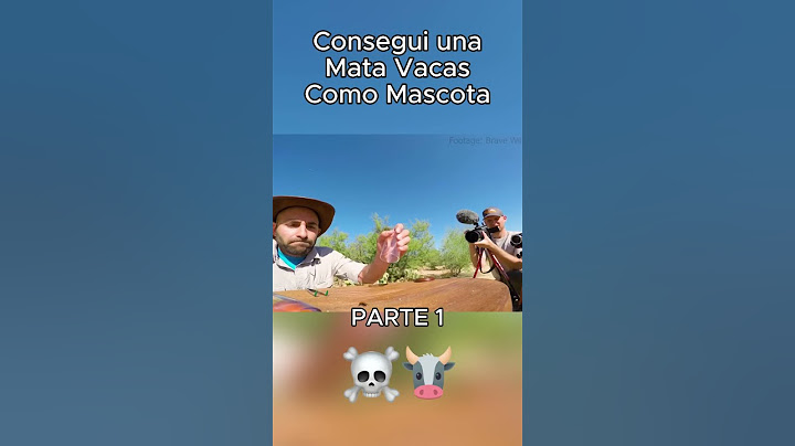 Consegui un MATA VACAS como mascota