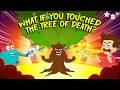 The Tree of Death | What Happens if You Touch Manchineel Tree? | Most Dangerous Trees | Dr. Binocs