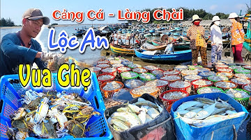 Trúng mánh mùa Ghẹ ở Làng Chài Lộc An | Đầy ấp hải sản Cảng Cá Lộc An những ngày giáp Tết 2023