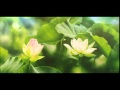潮州音乐 《出水莲 重六》 黄壮茂二弦领奏