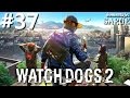 Zagrajmy w Watch Dogs 2 [PS4 Pro] odc. 37 - KONIEC GRY (platyna!)