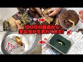 某100均ショップの商品から生まれてきた“ダイソーちゃん”