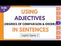 Adjectives and Their Degrees of Comparison