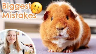 How to Avoid the Biggest & Most Expensive Guinea Pig Mistakes