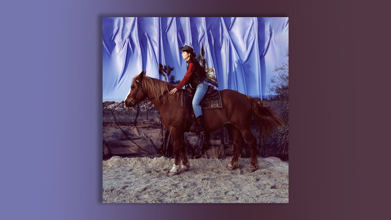 Holy Motors // Matador