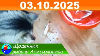картинка: Рыбное место на реке