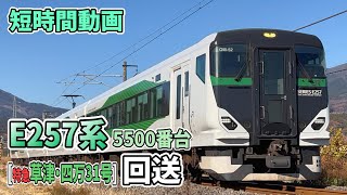 E257系5500番台 回送(特急草津・四万31号) 金島～渋川間通過