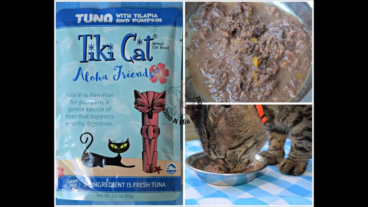 tiki tiki for cats