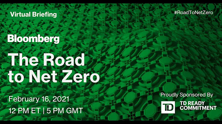 The Road to Net Zero
