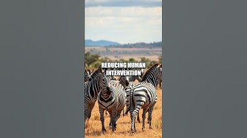 Revolutionizing Environmental Conservation with AI-Powered Wildlife Monitoring