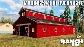 Day 3 Getting Stinking Rich Overnight | Ranch Simulator Gameplay | Part 3