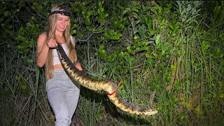 We found a MASSIVE Cottonmouth!