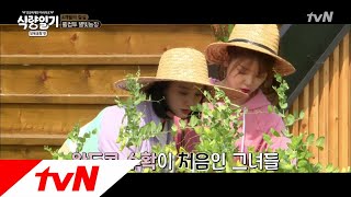 fooddiary 언제 이렇게 자랐지?? 농작물 수확 대작전! 180725 EP.8