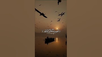 وبشر الصابرين ❤️ اجمل حالات واتس اب قرآن كريم - ياسر الدوسري