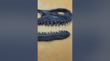 Velociraptor Fossil Slab