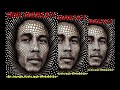 Bob Marley  - the secret tape - Crisis