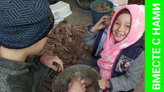 Сломалась машина. Рассада после снега. Подарки для Димы от DEKO. Шлифмашина, Мойка высокого давления