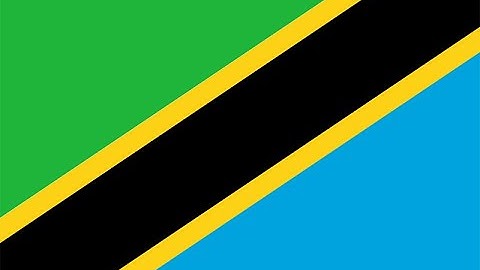 SESSION 04A PROBLEMS SOLVING IN NEWTON