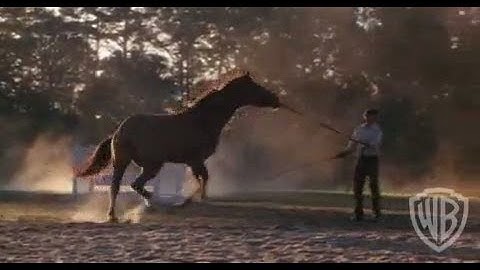 Thumbnail of Something to Talk About - Original Theatrical Trailer