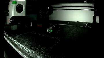 Flexi Toothless Dragon & Keychain - Print in place (Timelapse on BambuLab X1C)