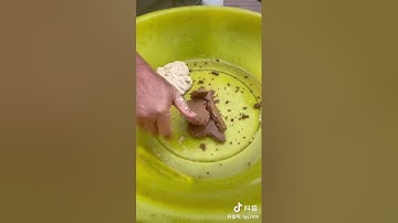 Đại Sư Lão Quỷ chi sẻ về công thức làm mồi Rô Phi bất bại cho anh em #cauca #fishing #câucá #fish