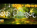 මග විසිතුරු | OL Sinhala | The beauty of the road | maga visithuru