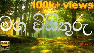 මග විසිතුරු | OL Sinhala | The beauty of the road | maga visithuru