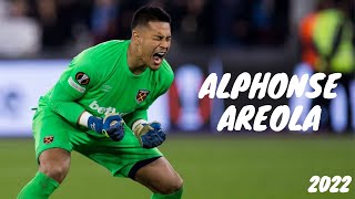 Alphonse Areola 2022/2023 ● Best Saves and Highlights ● [HD]