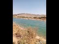 سبيح ابو جان يسبح في القناية قرية الكفروم