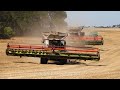 Claas Lexion 8900 - Hawe - + / Getreideernte - Grain Harvest  2020