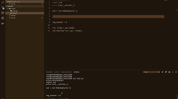 Docker in pi with web cam access