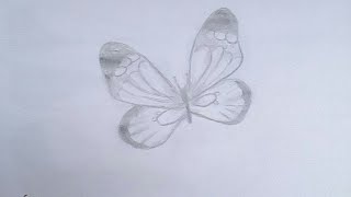 كيف ترسم فراشه خطوة بخطوة للمبتدئين how to draw butterfly step by step ✍