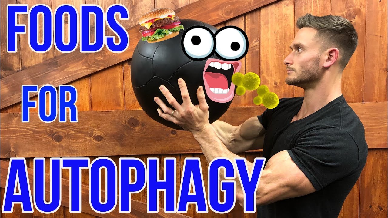 thomas delauer keto How to Boost Autophagy without Fasting | What is Autophagy | Foods for Autophagy - Thomas DeLauer